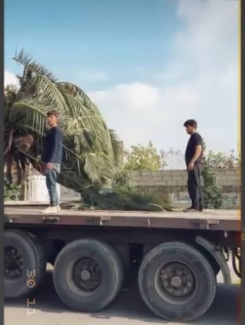 حمل و جابجایی کانتین